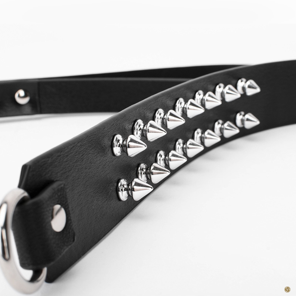 Inner Spiked K9 Submission Collar with Leash