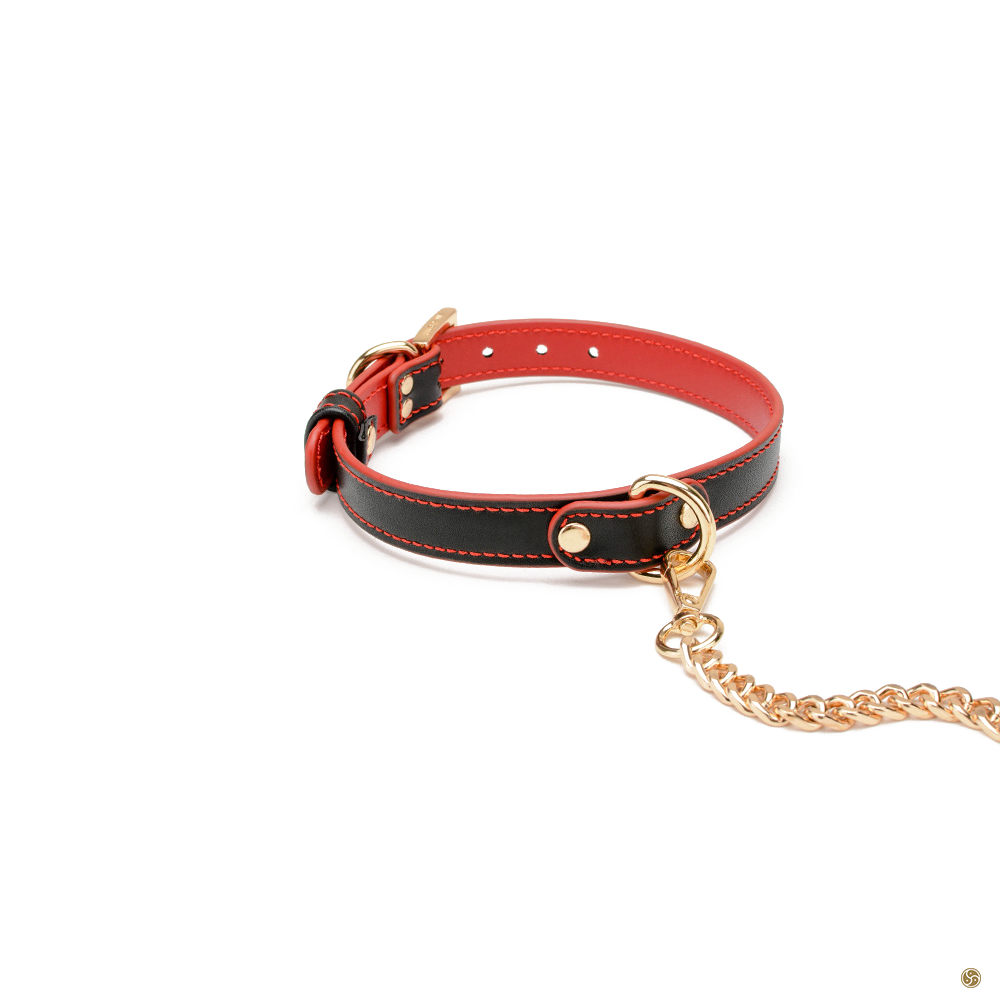 BDSM Premium K9 Submissive Collar with Leash