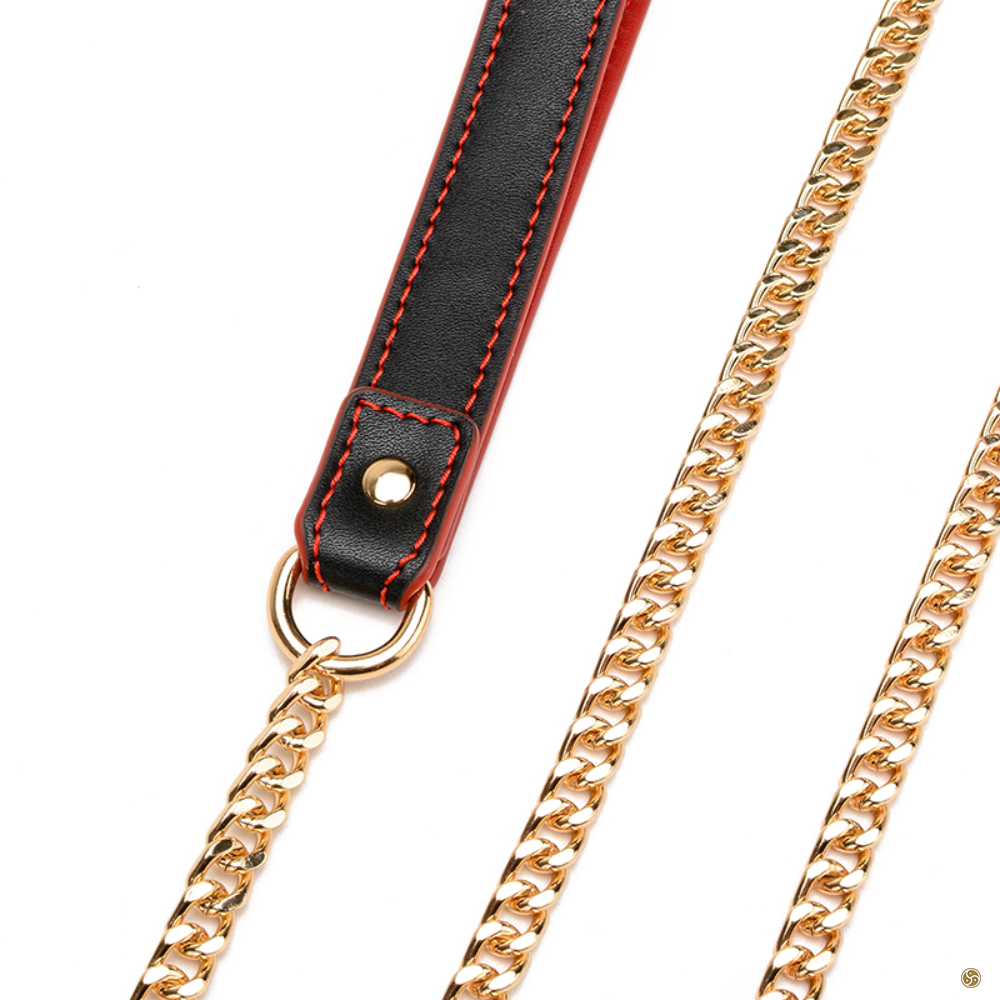 BDSM Premium K9 Submissive Collar with Leash