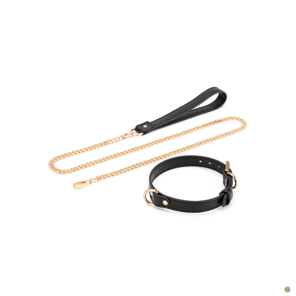 BDSM Premium K9 Submissive Collar with Leash