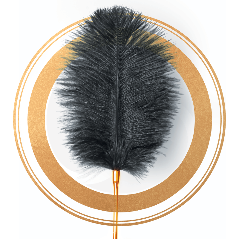 MissFun Luxury Ostrich Feather Tickler