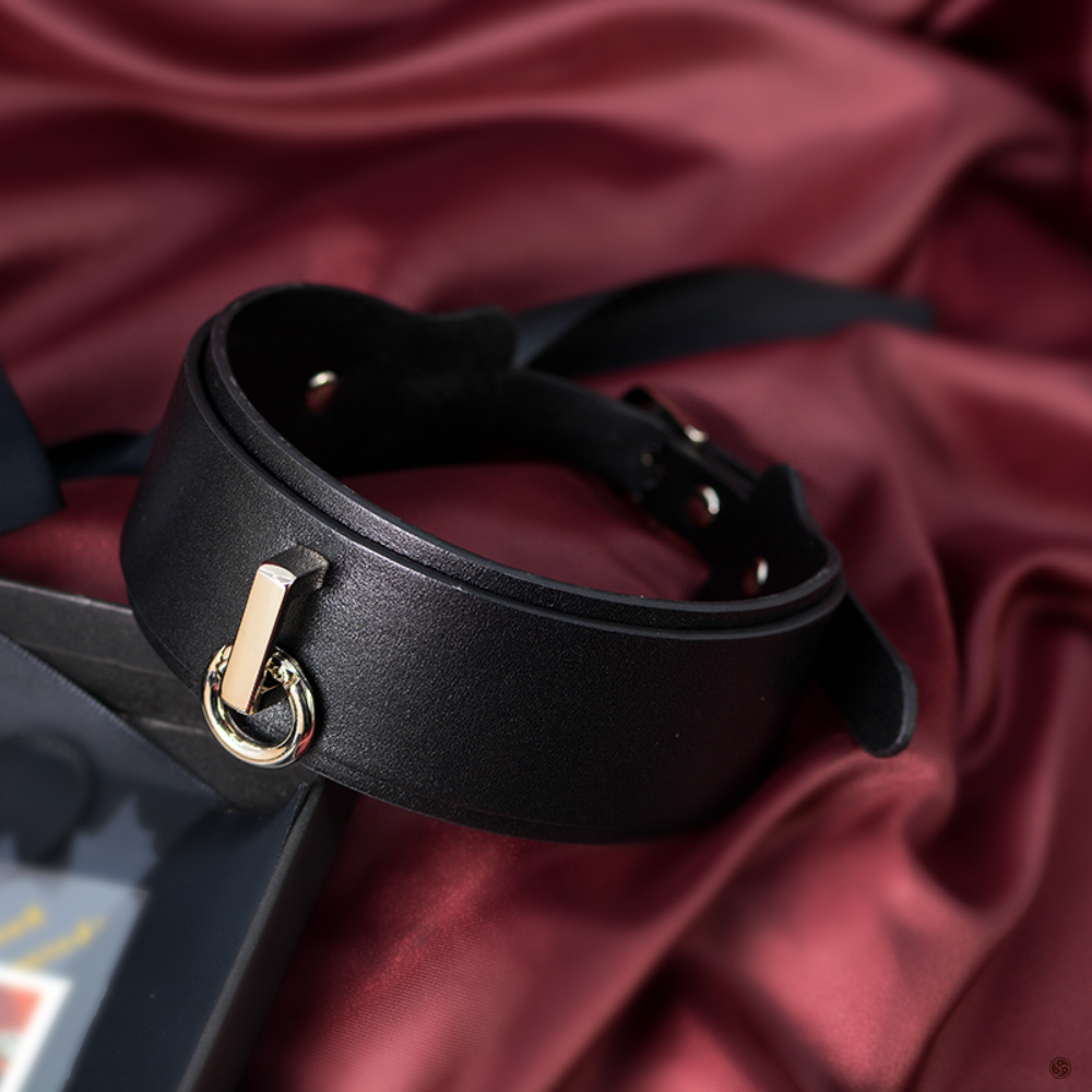 Midnight Panther BDSM Genuine Leather Submissive Collar with Leash